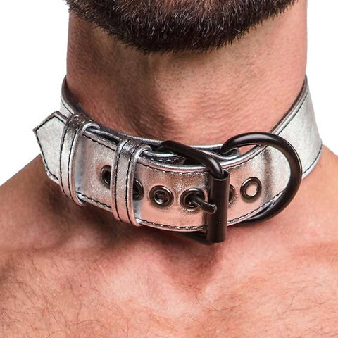Bondage Fetish Metallic Pup Collar With Leash