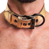 Bondage Fetish Metallic Pup Collar With Leash