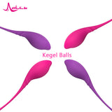 Purple Aite Kegel Balls Kit